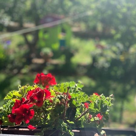 Apartman Dalija Vinkuran Ngoại thất bức ảnh